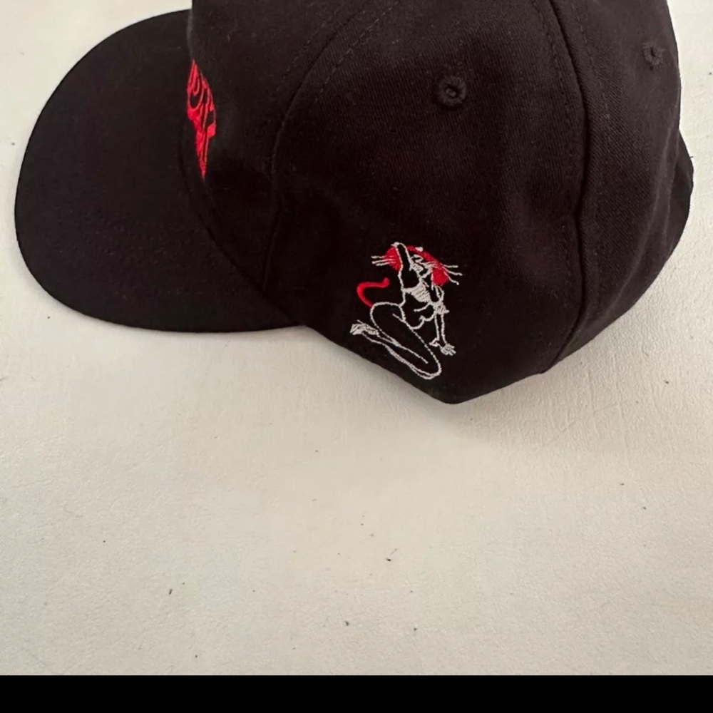 SnapBack hat - Picture 2 of 5